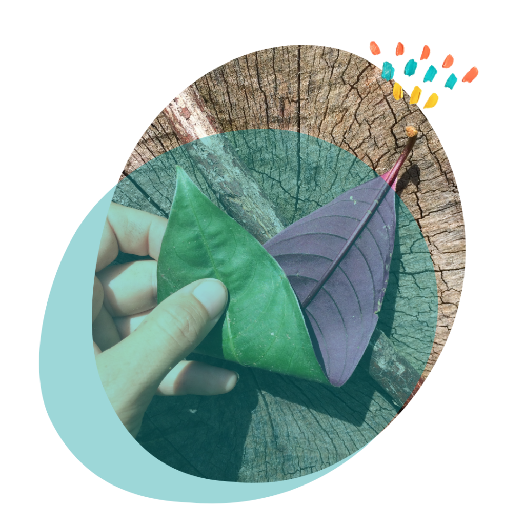 Logo-Viola-Empowerment-Coaching3